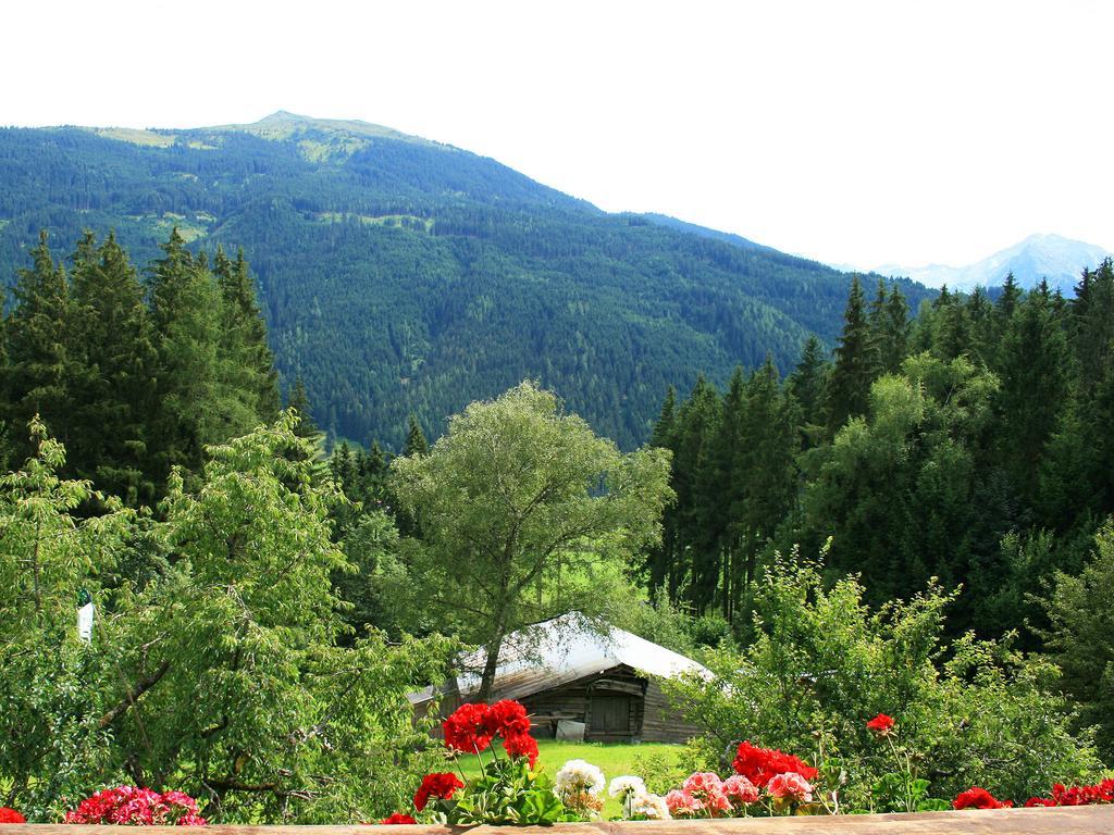 Ferienhaus Berger Mittersill Cameră foto